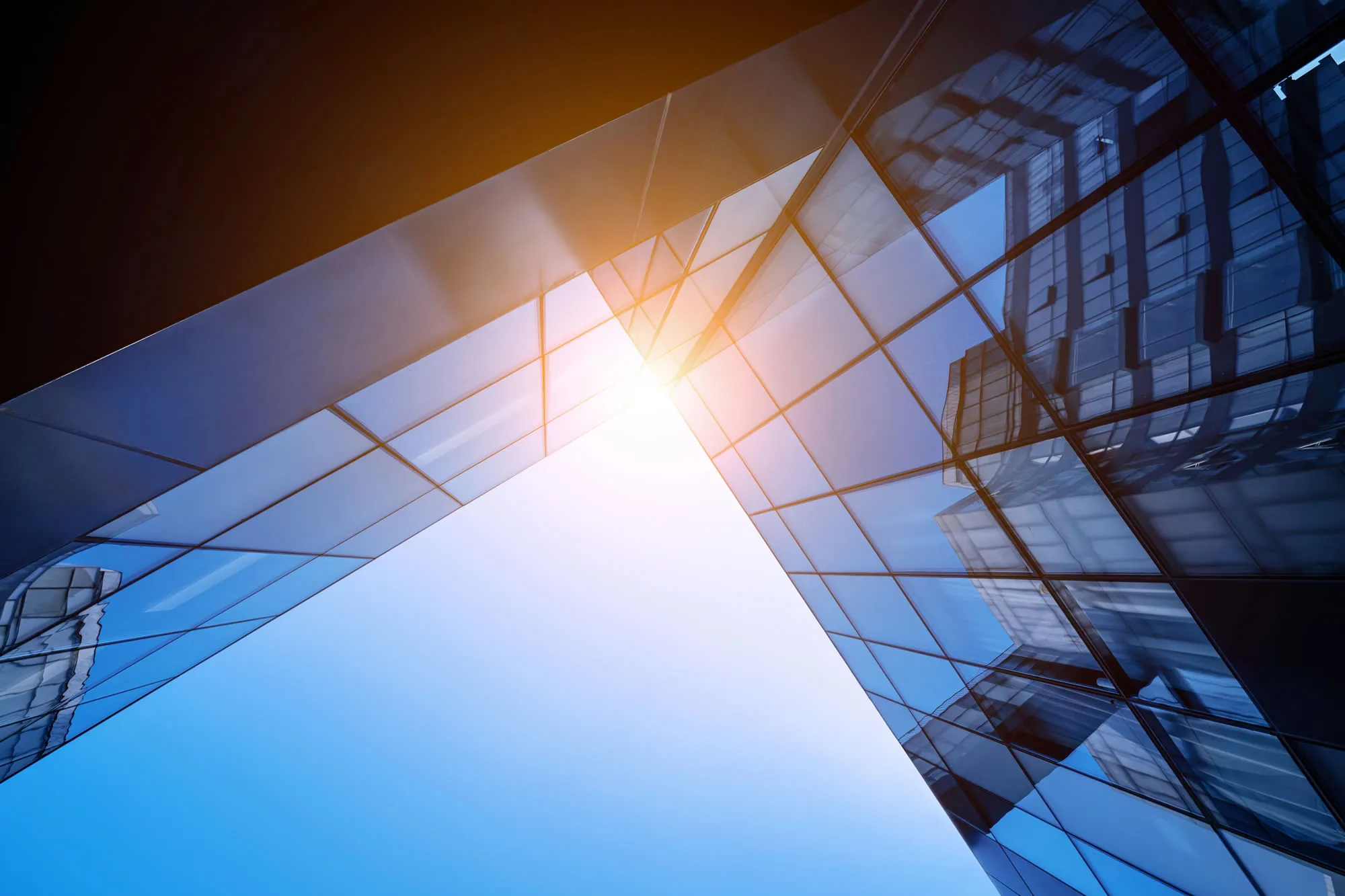 Business Insurance